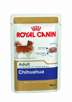 Chihuahua Adult Wet 